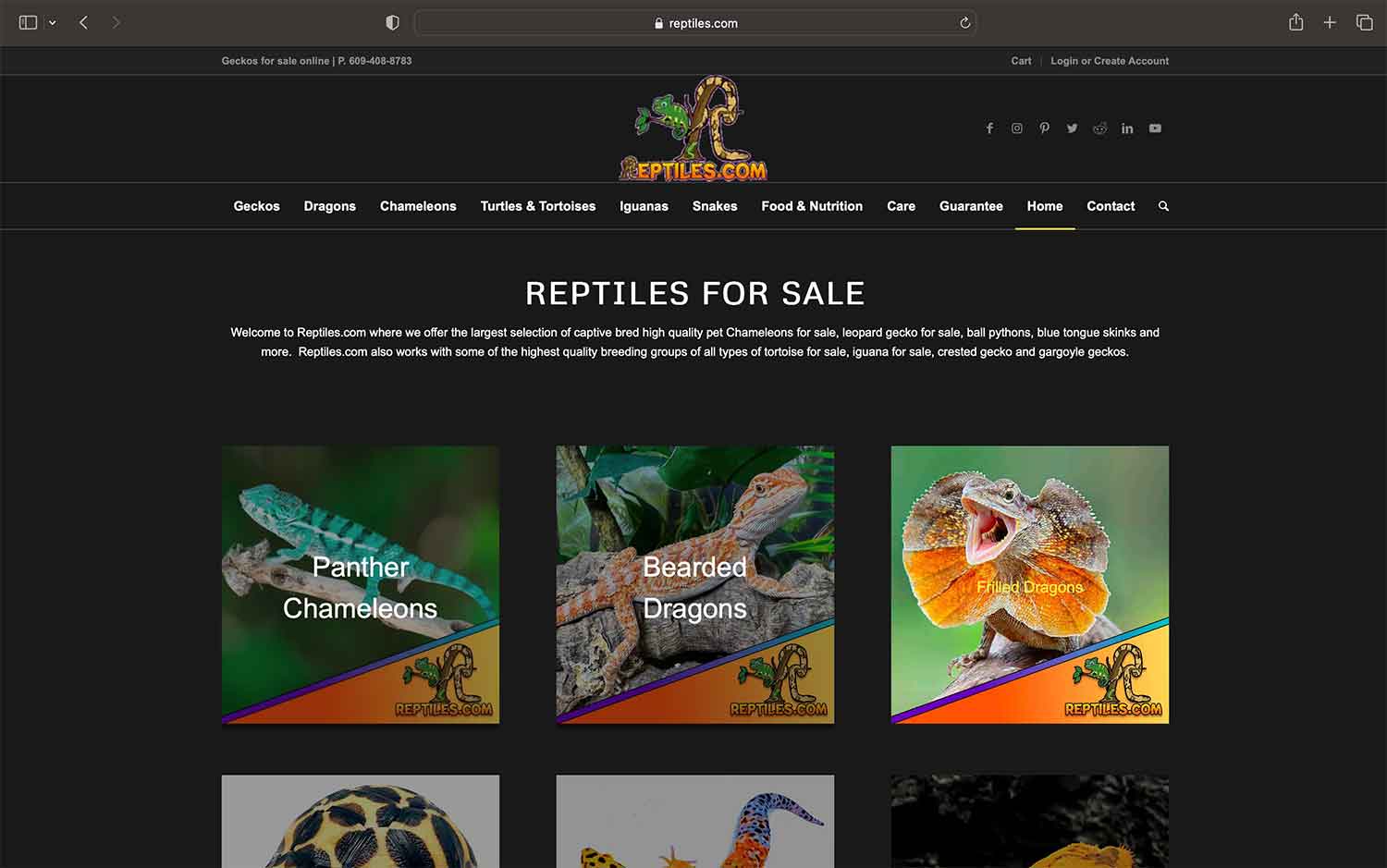 Reptiles.com website designer